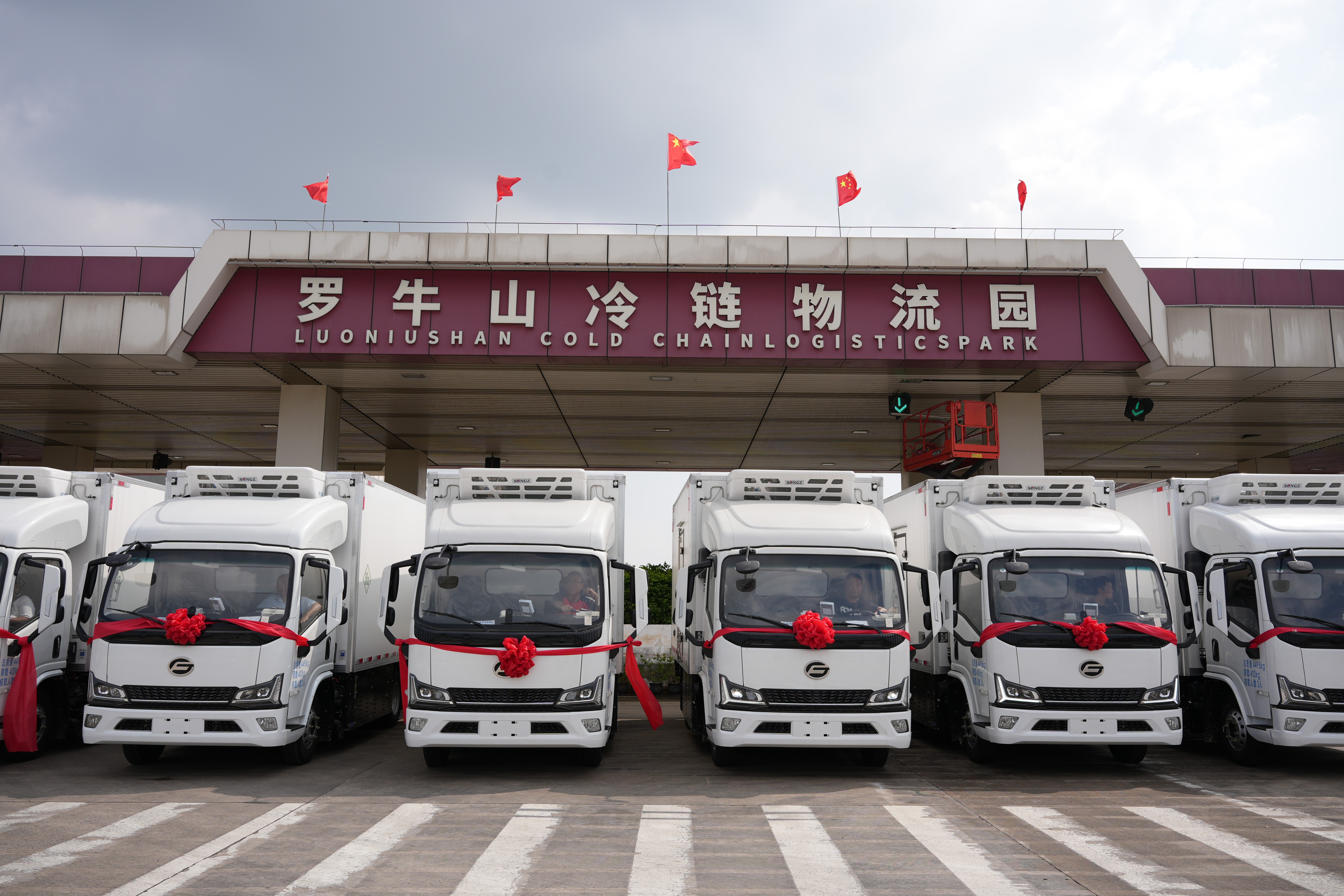 DSC01142.jpg DSC01142.jpg